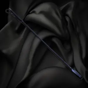 Schwarze Gerte mit schmaler Schlaufe am Ende